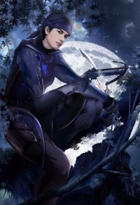 天之炽②女武神