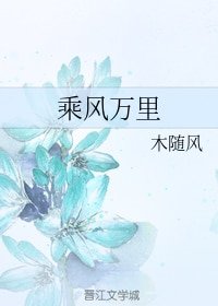 乘风万里